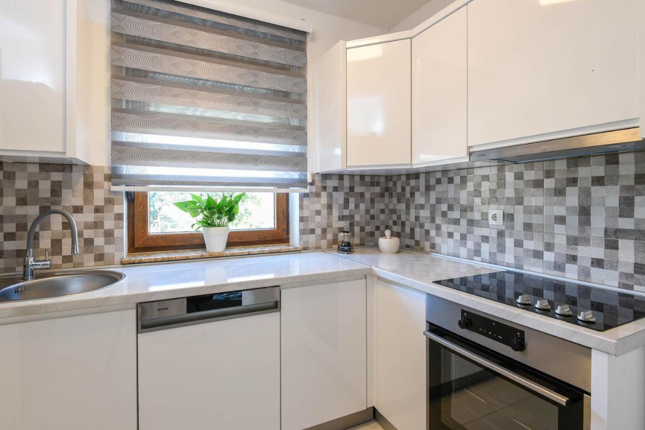 Lidija Apartmani オレビック 部屋 写真
